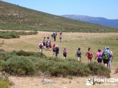 Pinar de Canencia y Mina de Plata del Indiano;foro senderismo madrid;rutas monasterio de piedra